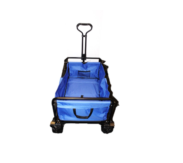 CAB 20 - Blue Beach Buggy