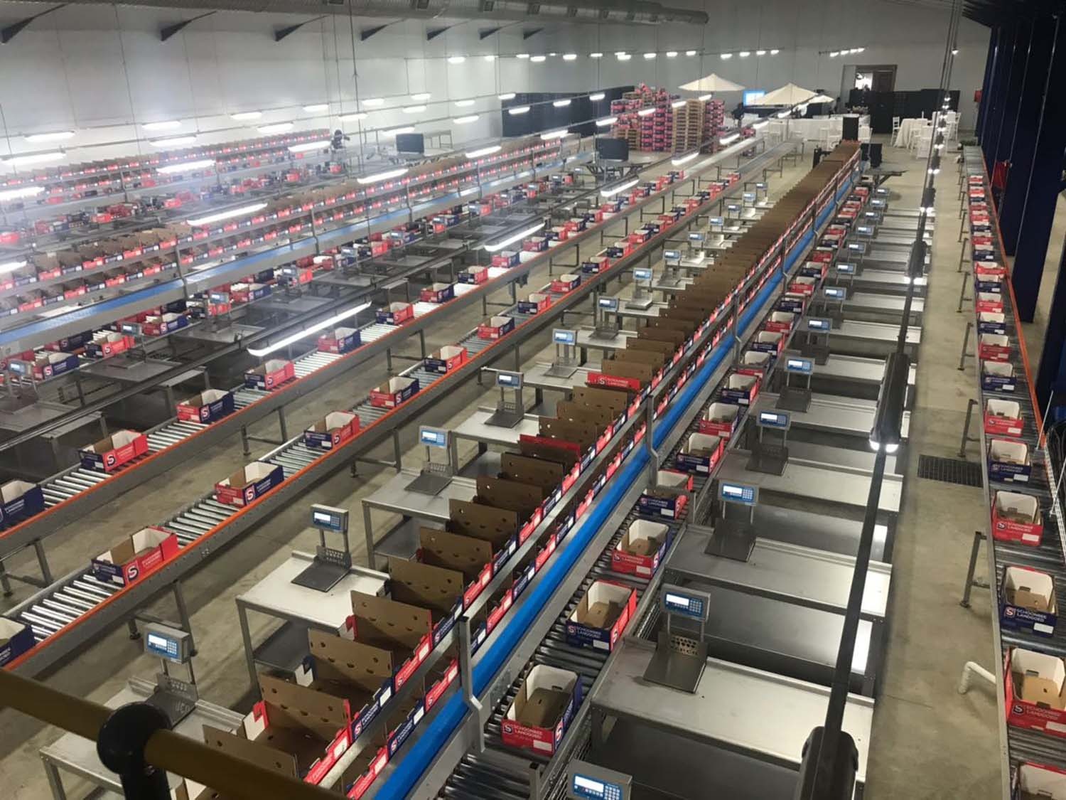 Straight Roller Conveyor